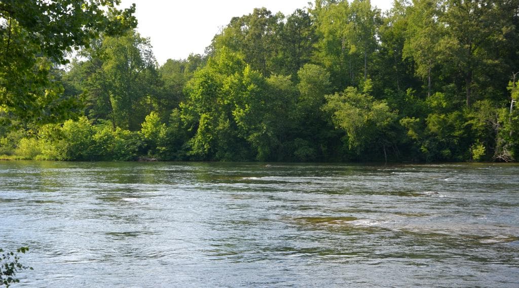 Good for Kayak - Gets interesting when the open the gates at the dam