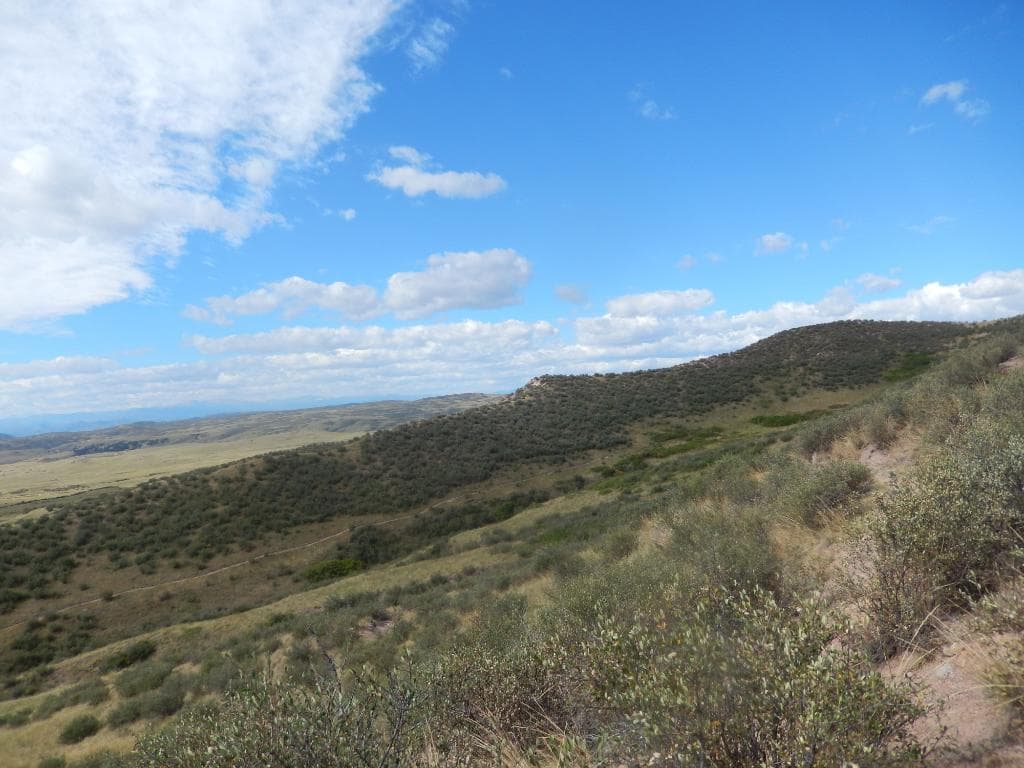 Soapstone Prarie