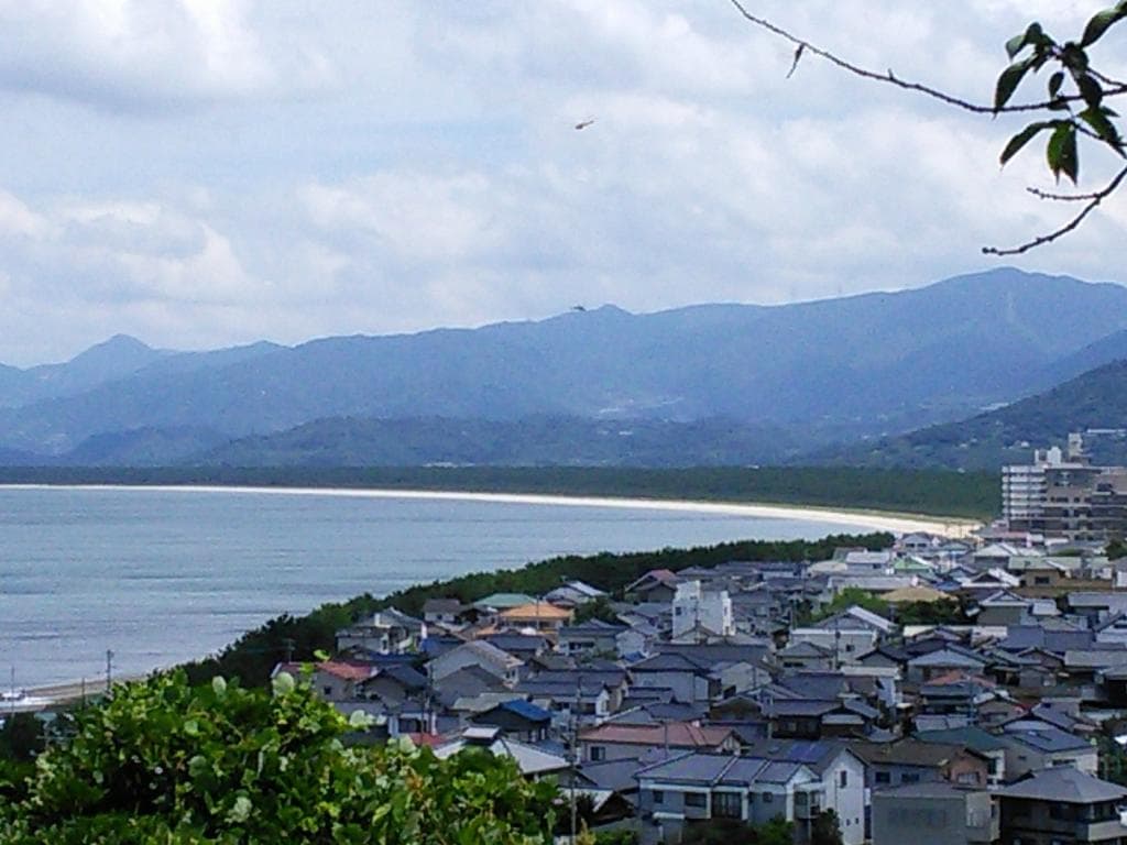 唐津城から見た虹ノ松原
