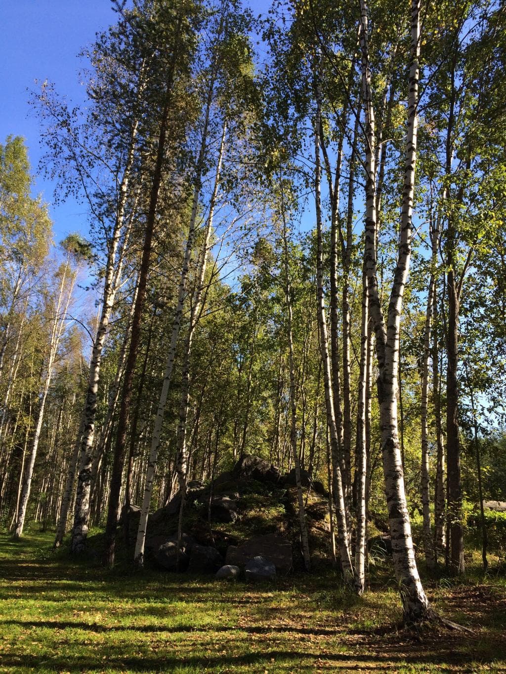 Hertsöstigen Trail