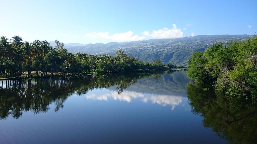 Paysage de l'Etang