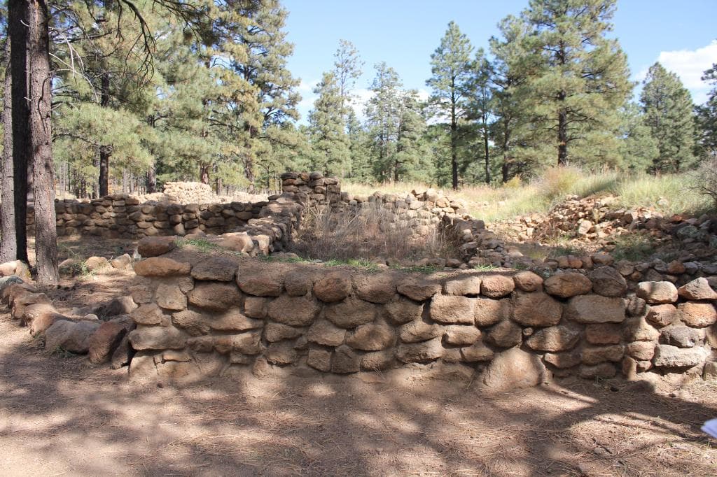 Excavated part of ruins