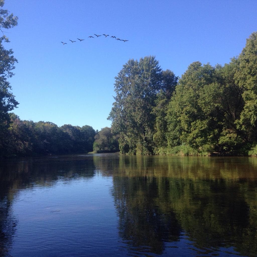 Chippewa Nature Center