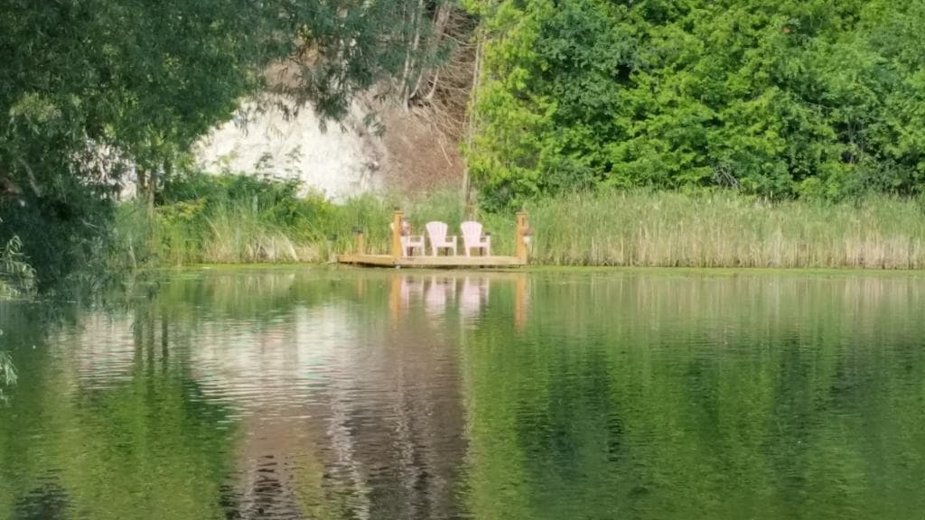 View behind the Mill