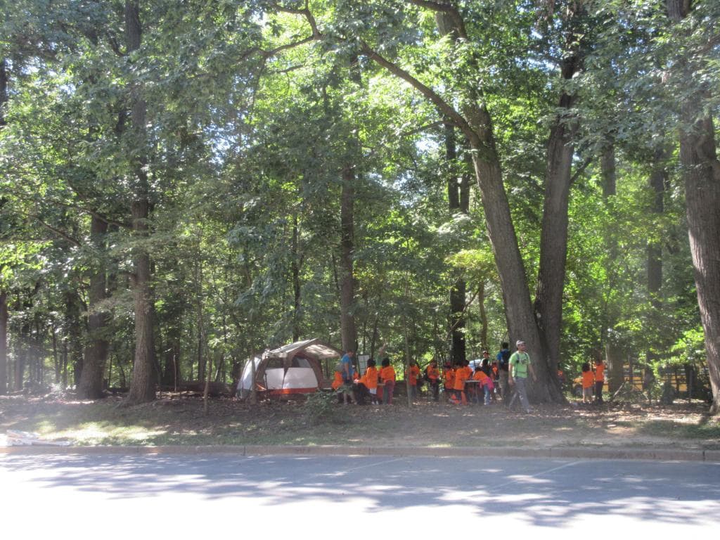 A group of students coming to visit.