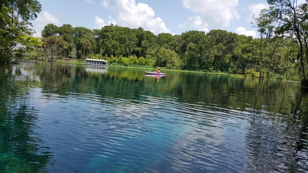 Glass bottom boat.