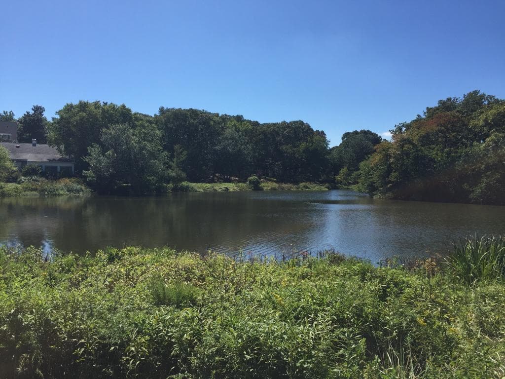 Lake Gerar Park
