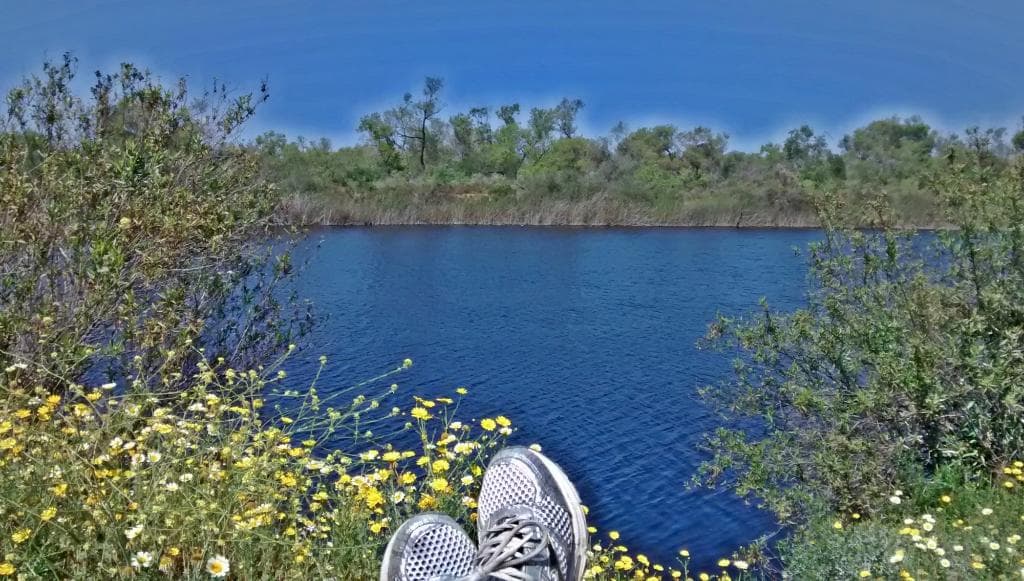 relaxing spot to sit and check out the birds