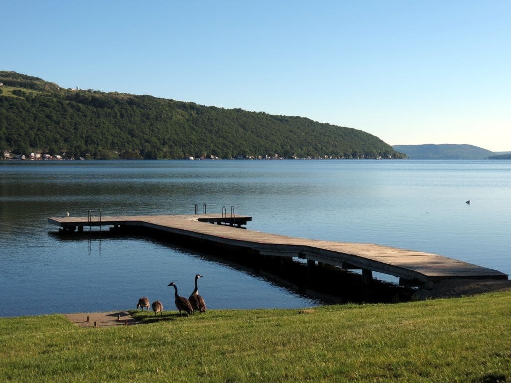 Dock near swimming area