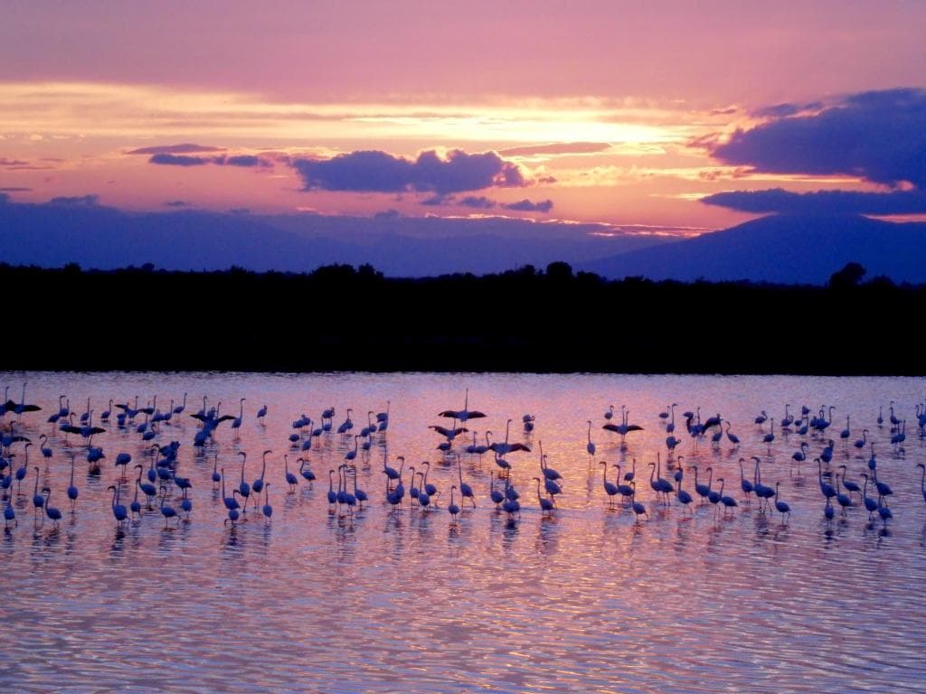 Axios Delta National Park