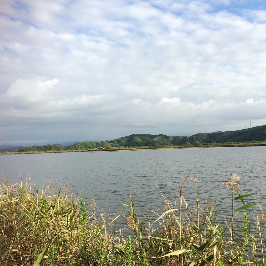 Yonago Waterbirds Sanctuary