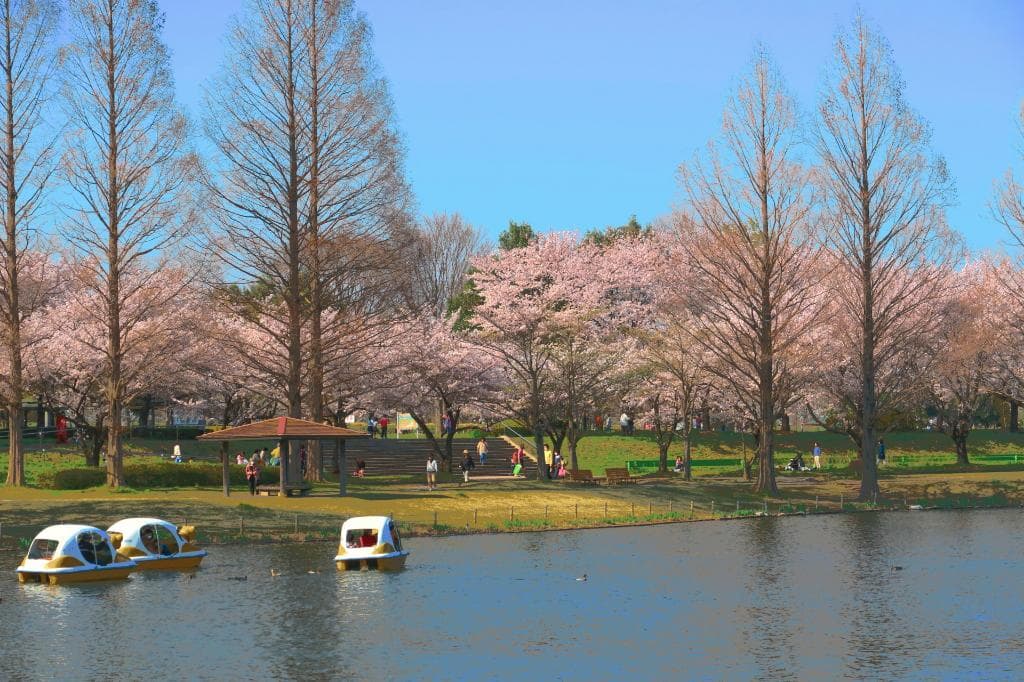 春の川越水上公園