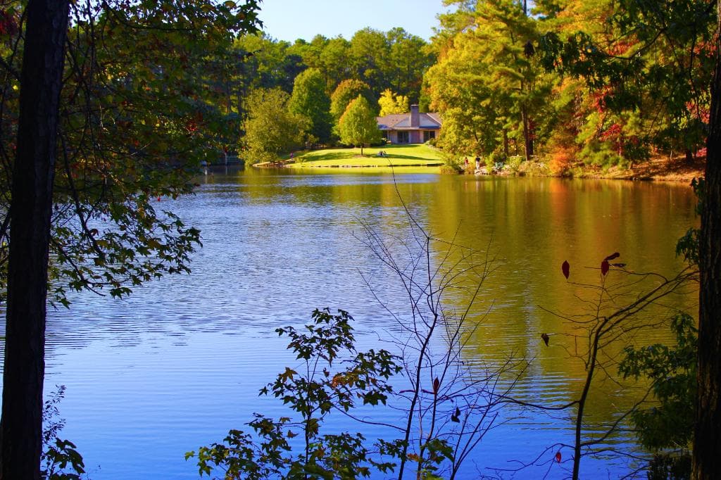 Lake at Aldridge Garden