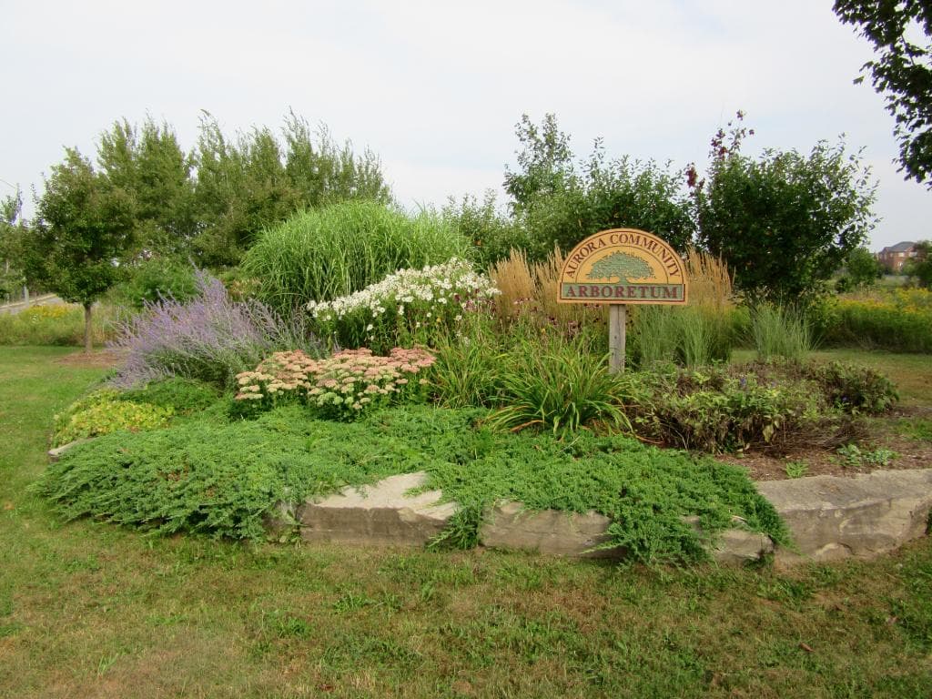 St John's Sideroad Entrance