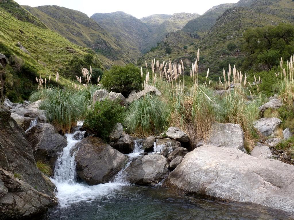 Arroyo