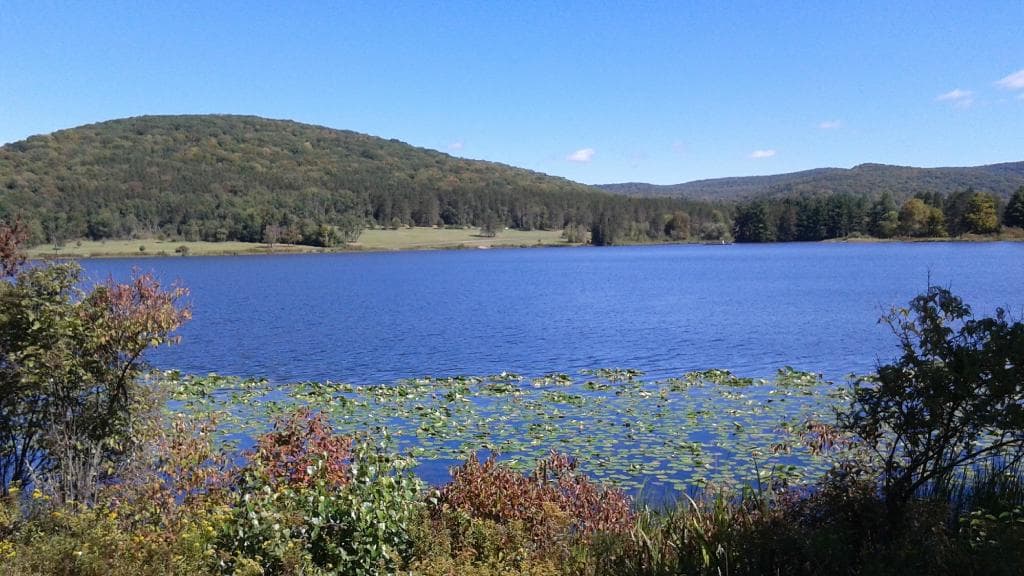 Red House Lake
