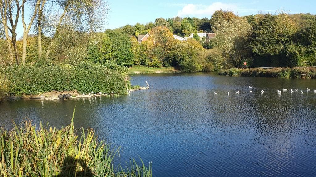 Around the fishing lake