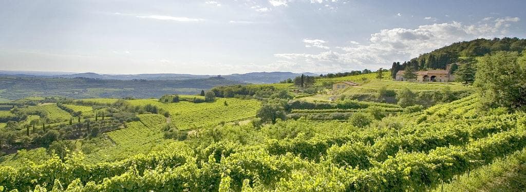 Vigneti di Castelcerino di Soave