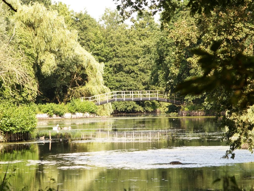 Veel waterpartijen in het park