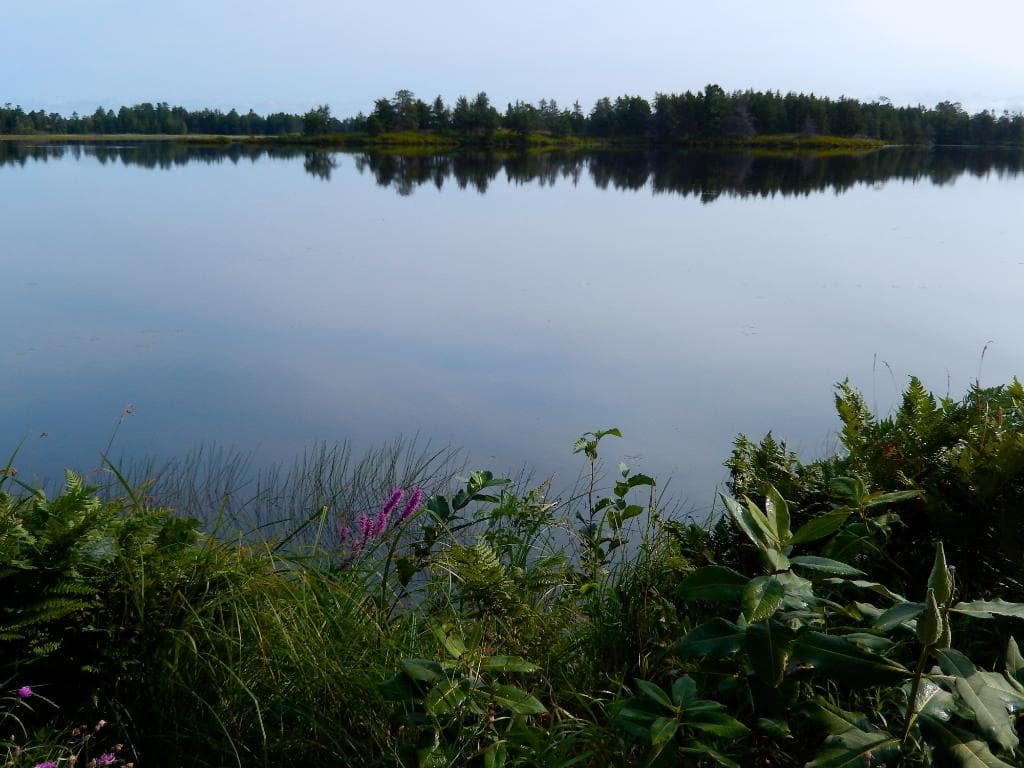 Seney National Wildlife Refuge