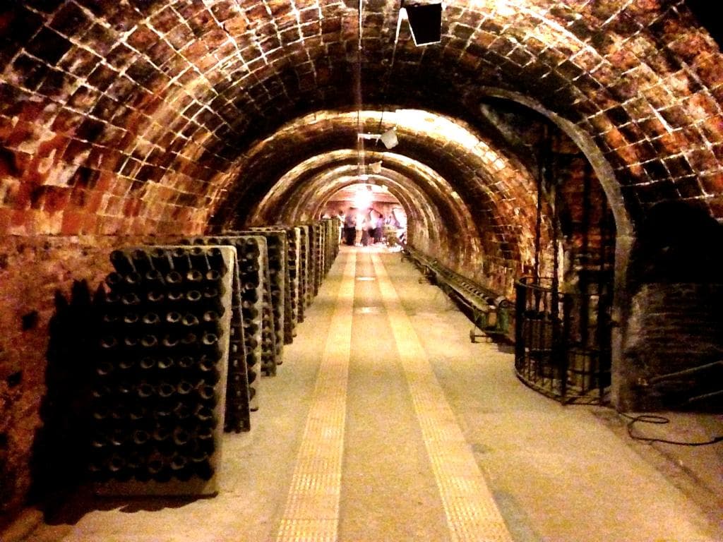 The 'caves'
