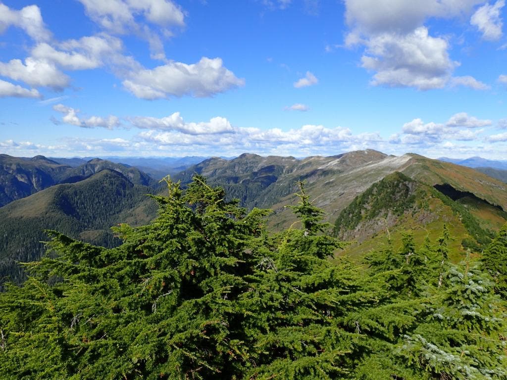 Summit of Deer Mountain Trail Photo # 1