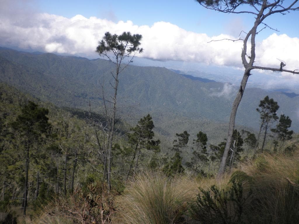 Armando Bermúdez National Park