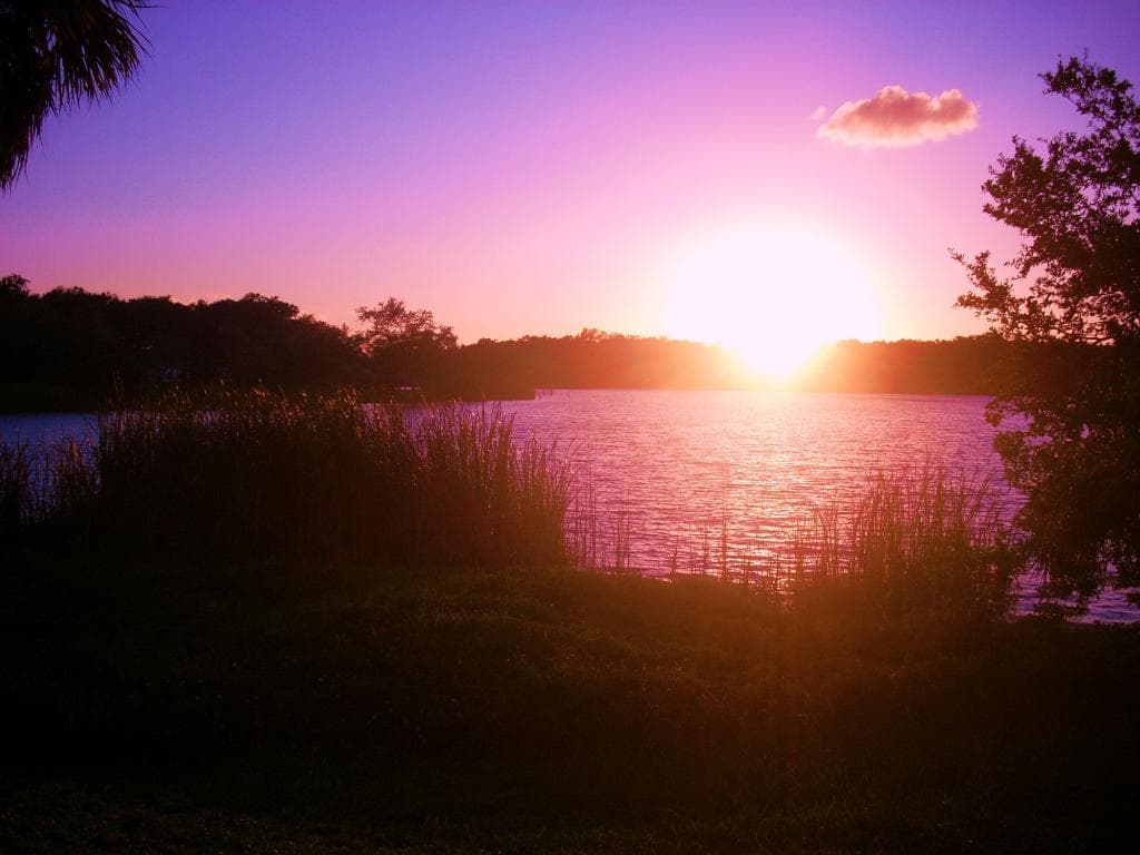 Bright Sunset
