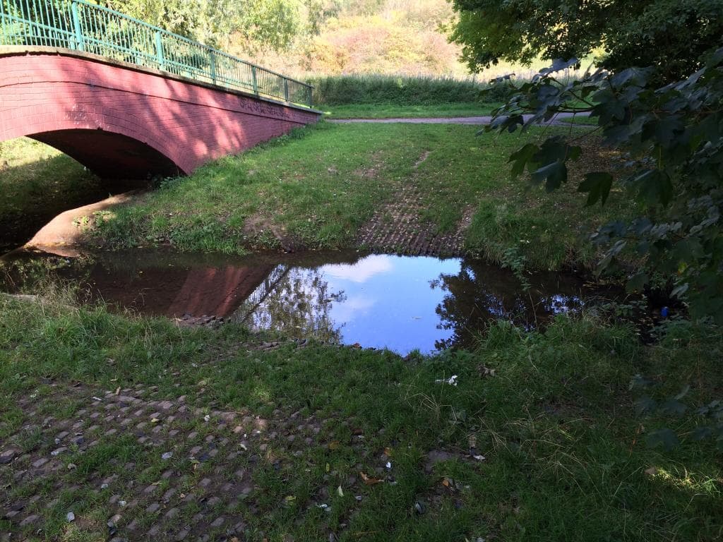 3 Fords crossing Bournebrook in Woodgate Country Park.  This park is a natural wonder. It is so 