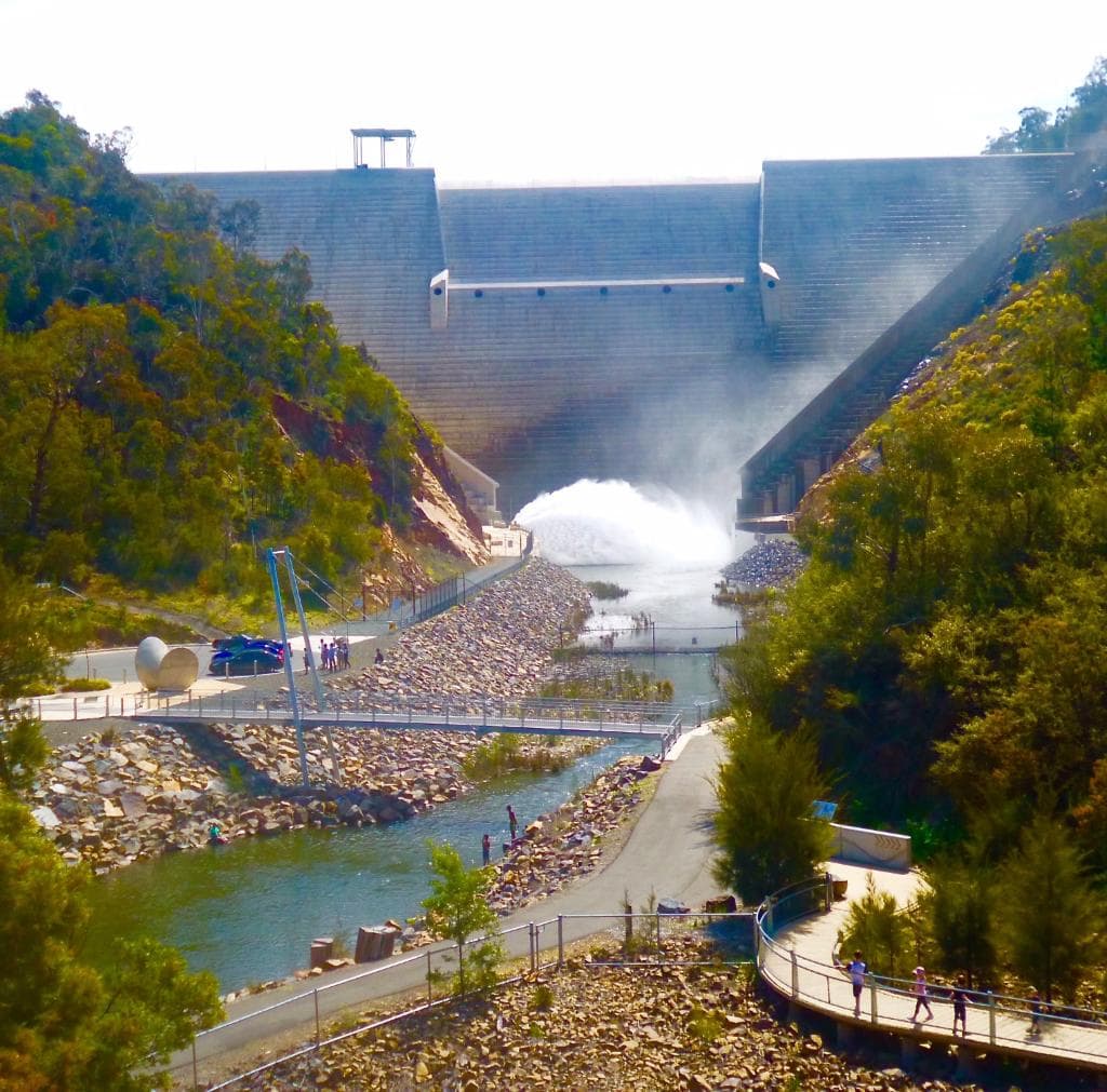 Cotter Dam from the viewing platform at the reserve