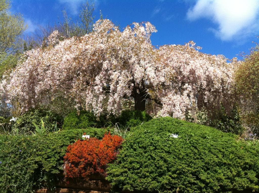 Gardens