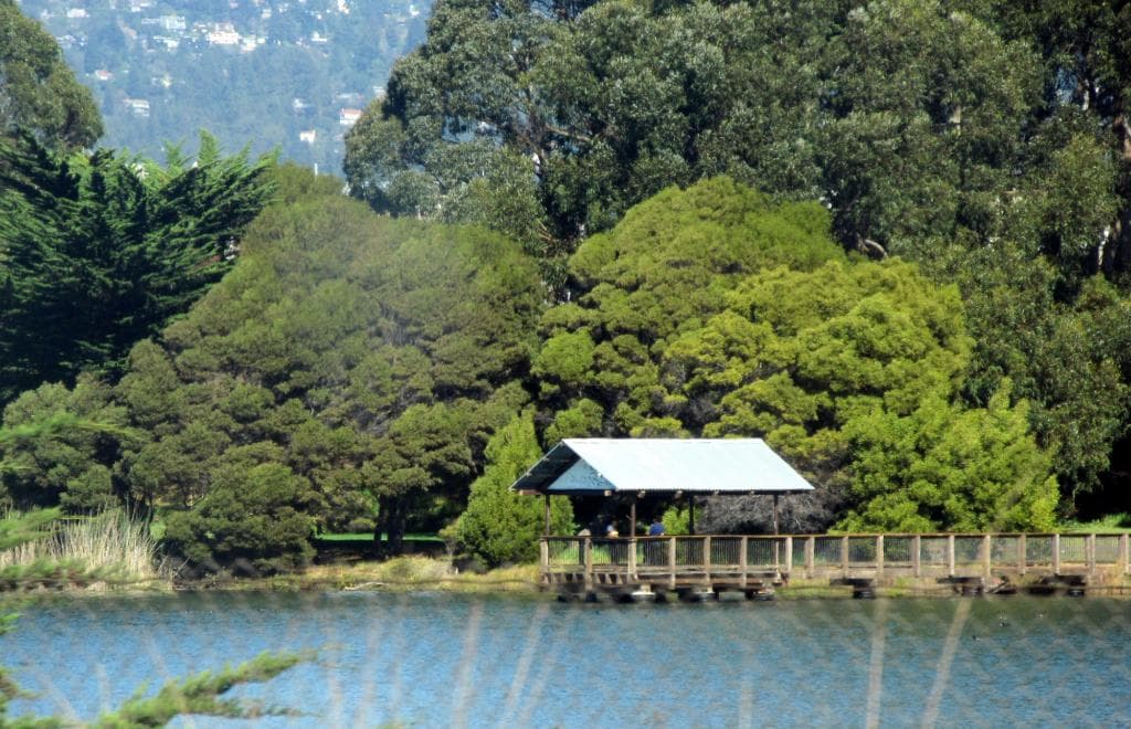 Aquatic Park, Berkeley, Ca