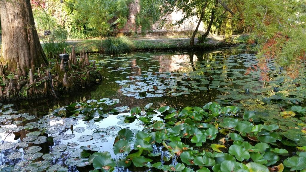 Orto Botanico di Lucca