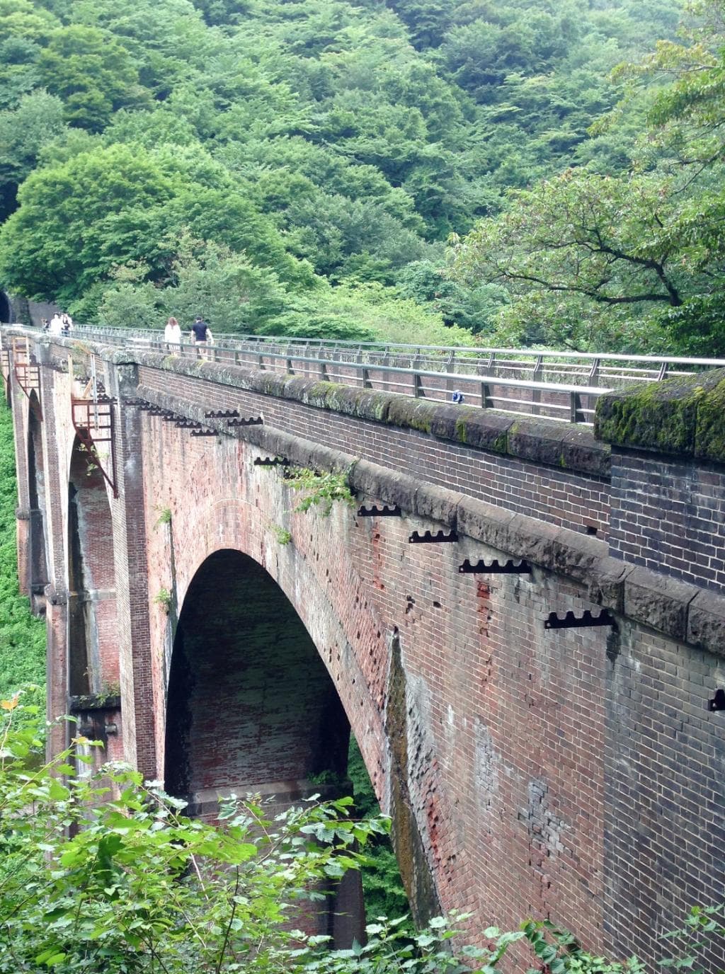 遊歩道の上からの景色