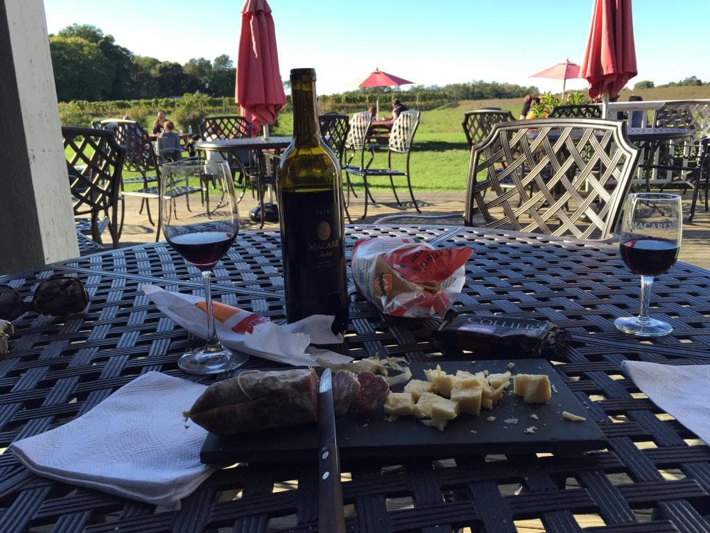 Red wine with meat and cheese plate, overlooking vineyard.