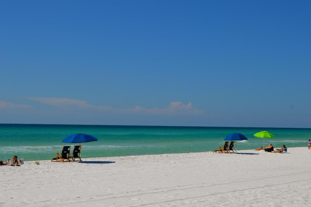 The beach
