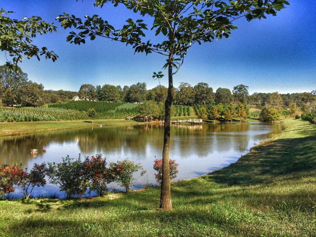 Kinsey Family Farm