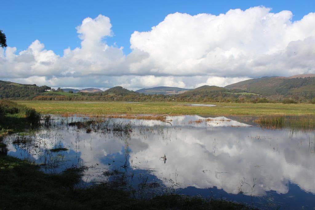 RSPB Mersehead