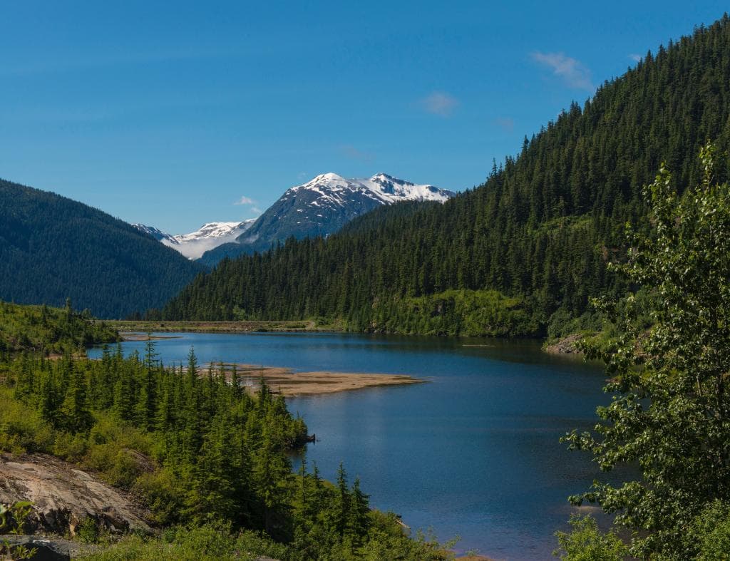 Bear Glacier