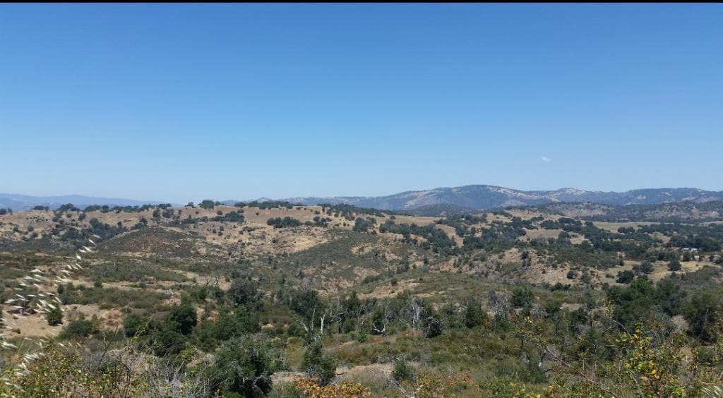 Oh, the view!