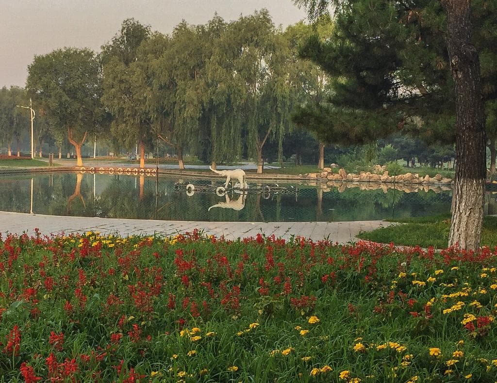 Tranquility in a busy city