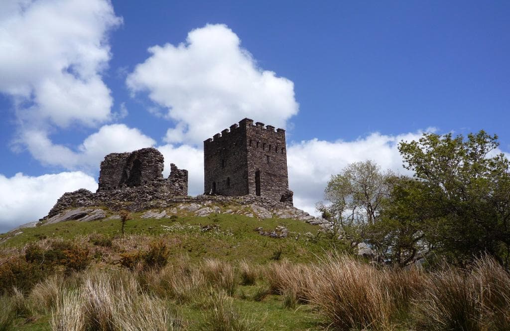 Dowyddealan Castle