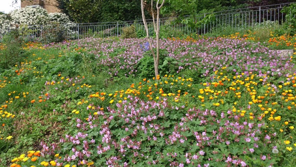 Boscombe Chine Gardens