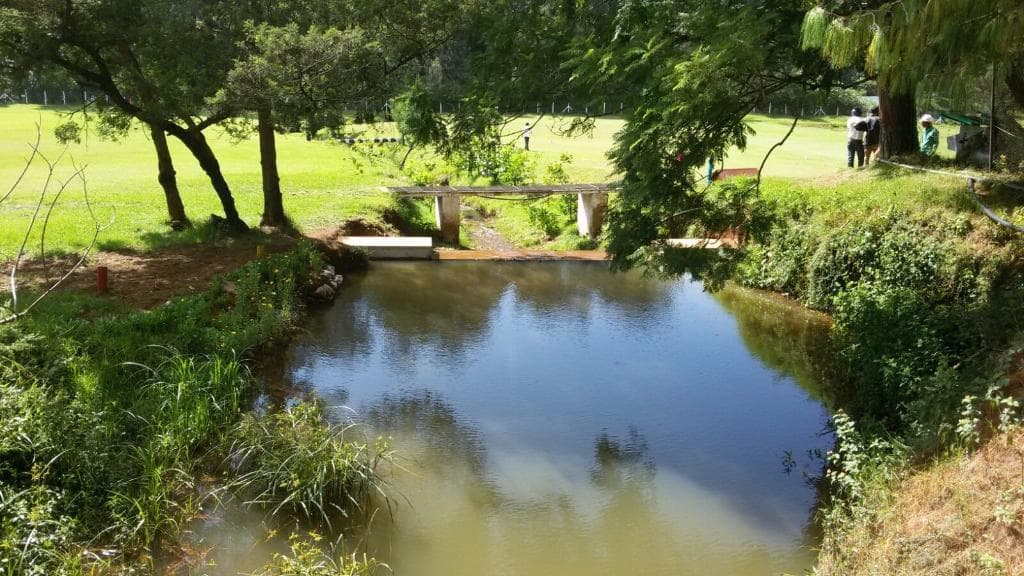 WGC Golf Course