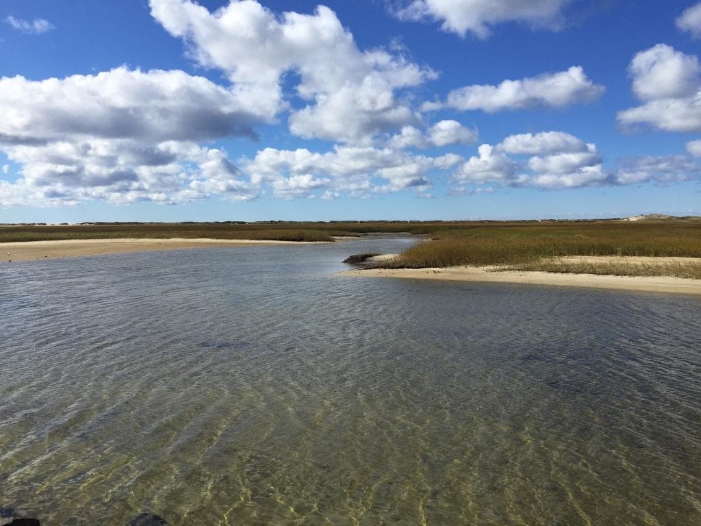 Long Point