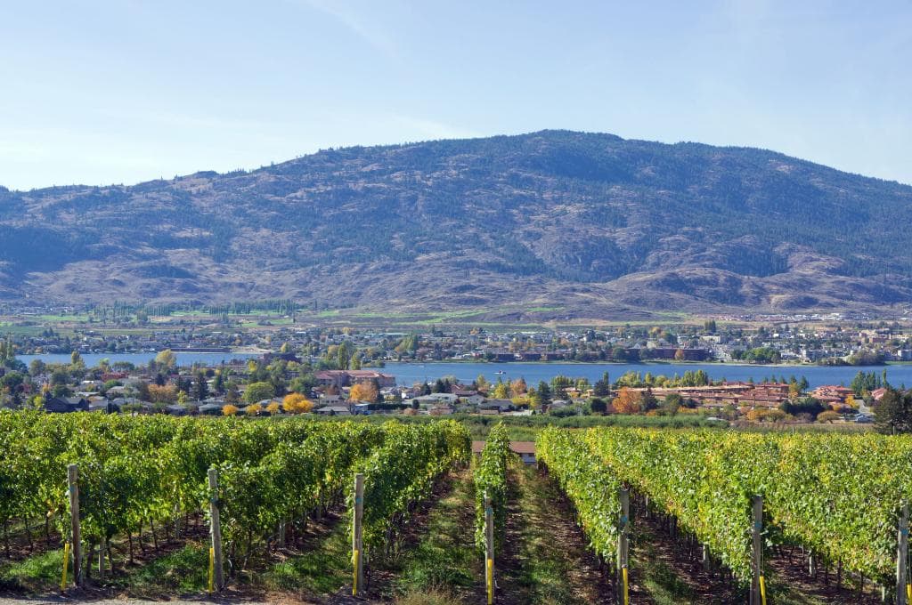 Moon Curser Vineyards and Town of Osoyoos