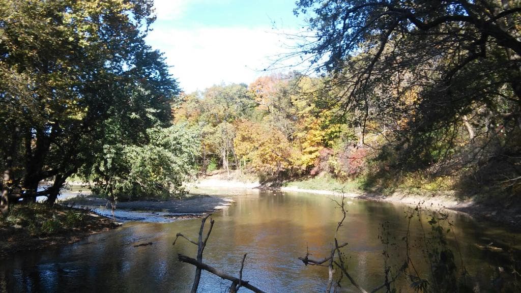 Humiston Woods October 2015