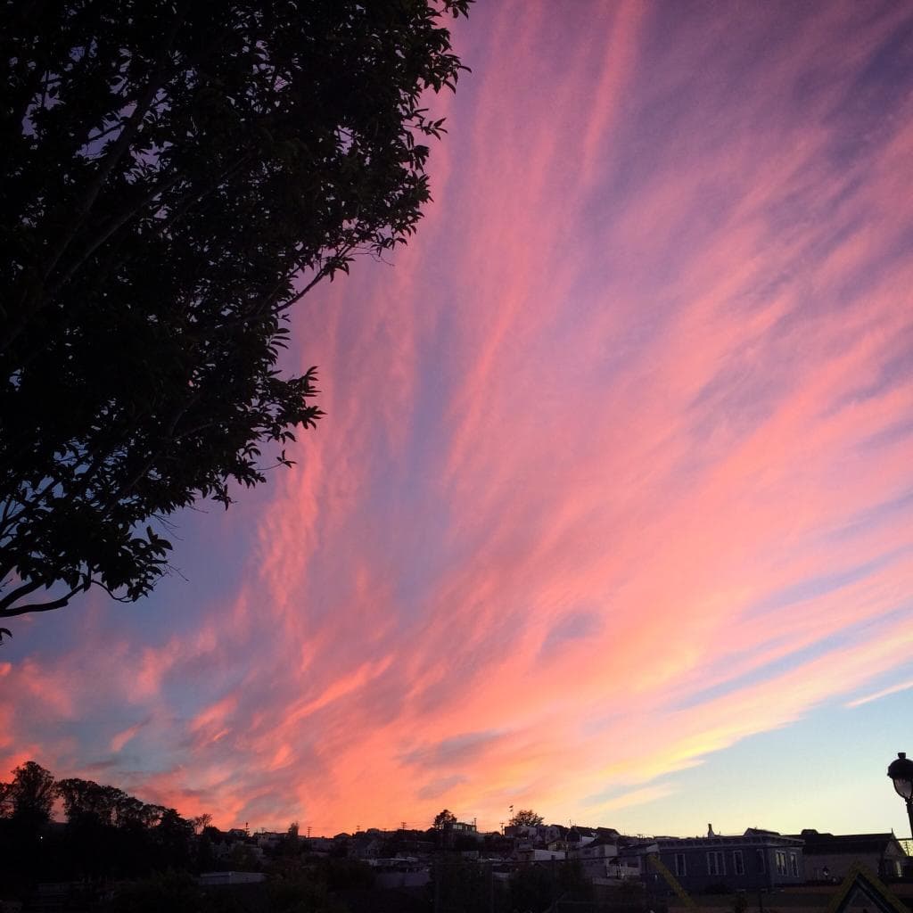 Potrero Hill