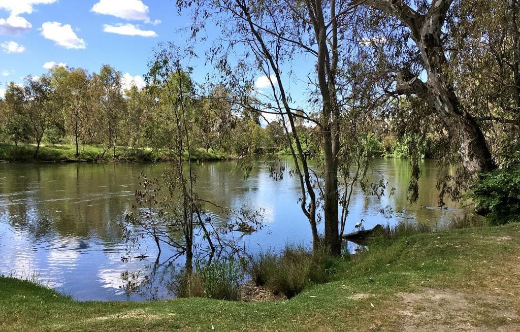Restful views