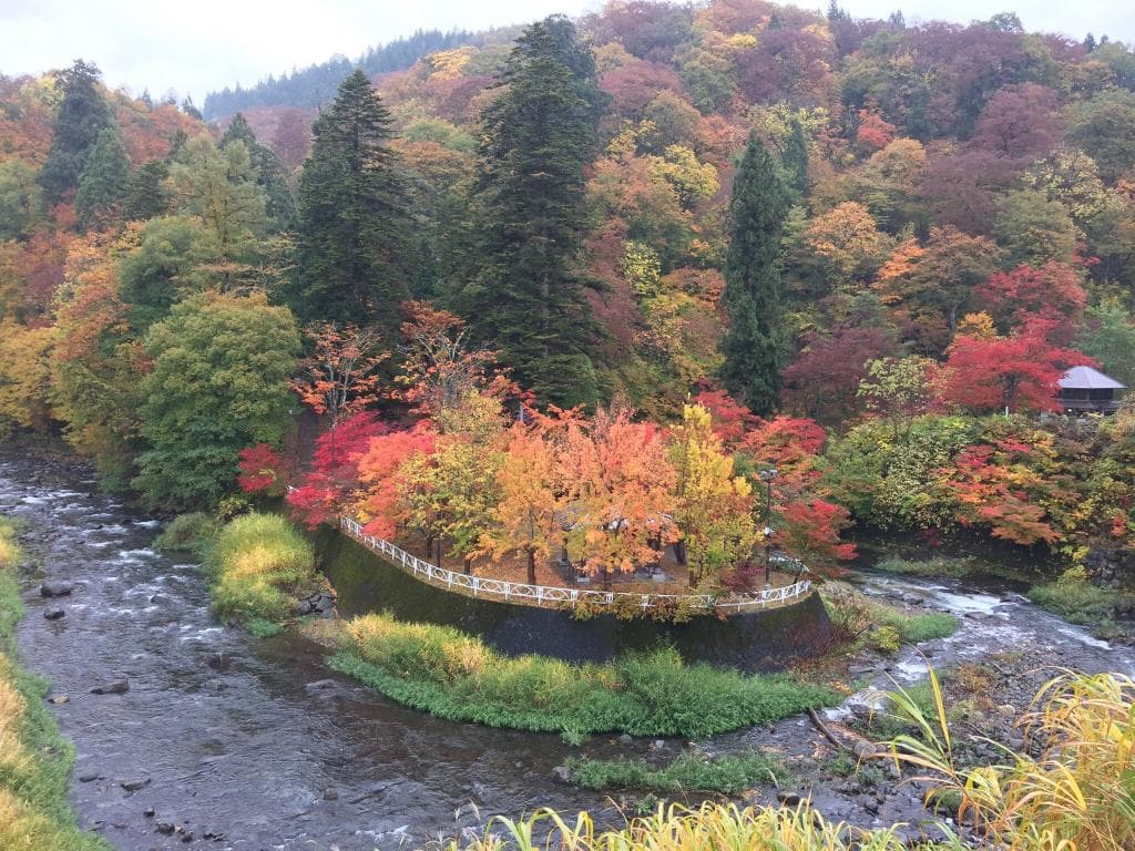 中野もみじ山